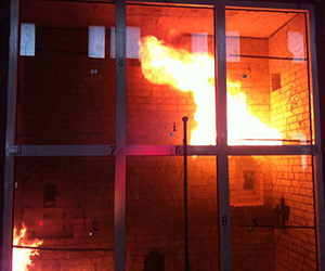 Противопожарные окна Фрязино